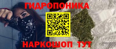 тгк Краснодар