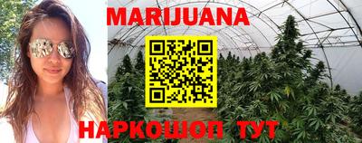 гидра Краснокаменск