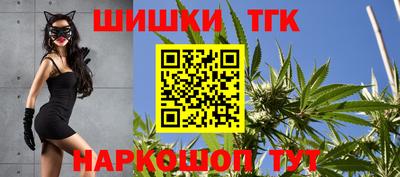 МДПВ Краснознаменск