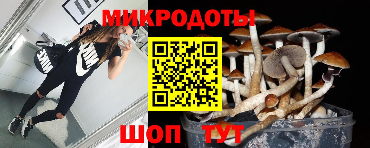 Галлюциногенные грибы прущие грибы  Вход с VPN  Железноводск 